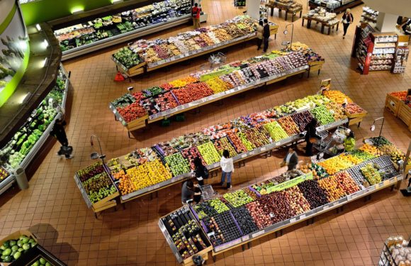 Supermercados en Majadahonda: ¿cómo elegir el mejor?